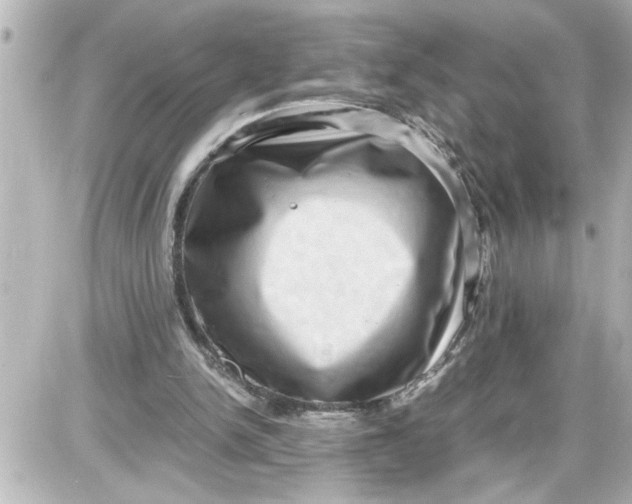 X0000087560150200705112156