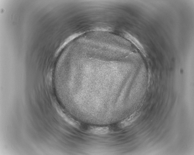 X0000087560155200705112156