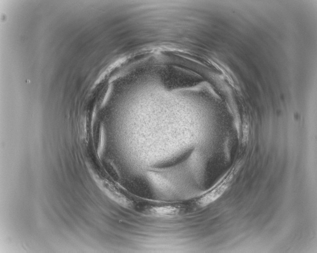 X0000087560158200705112156