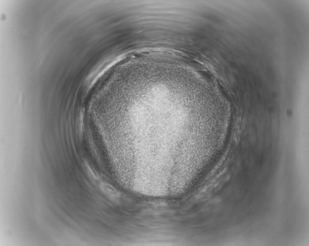 X0000087560194200705112156