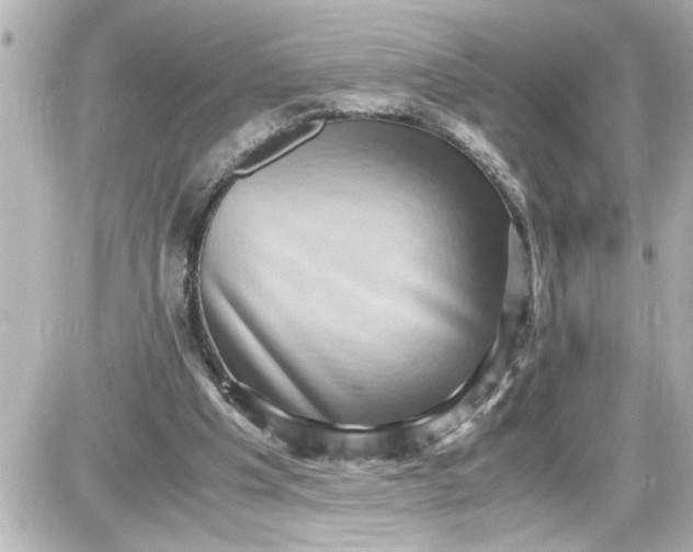 X0000087560201200705112156