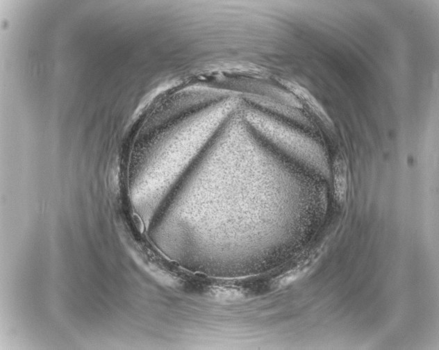 X0000087560207200705112155