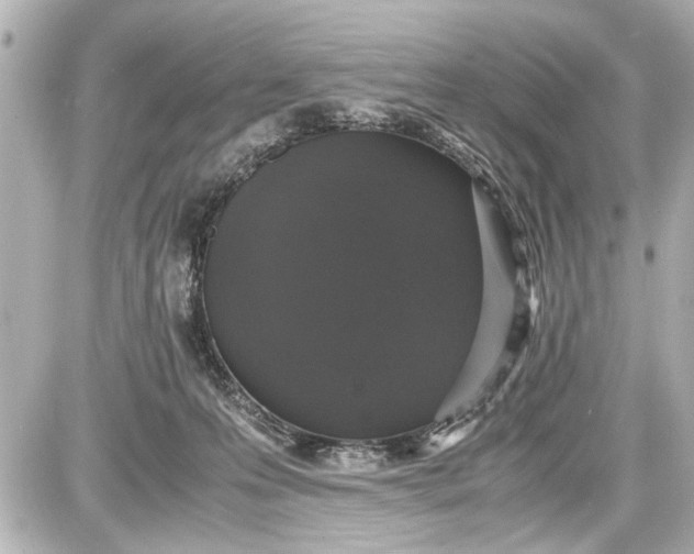 X0000087560223200705112155