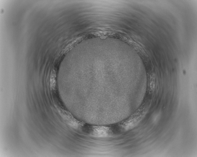 X0000087560226200705112155