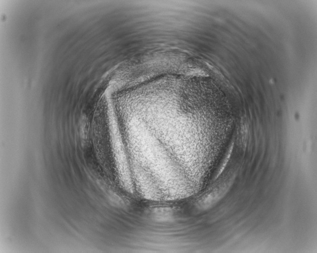 X0000087560228200705112155