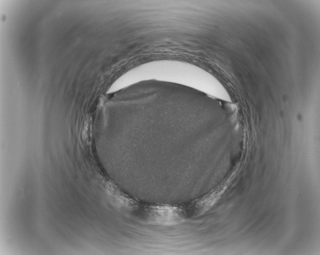 X0000087560233200705112155
