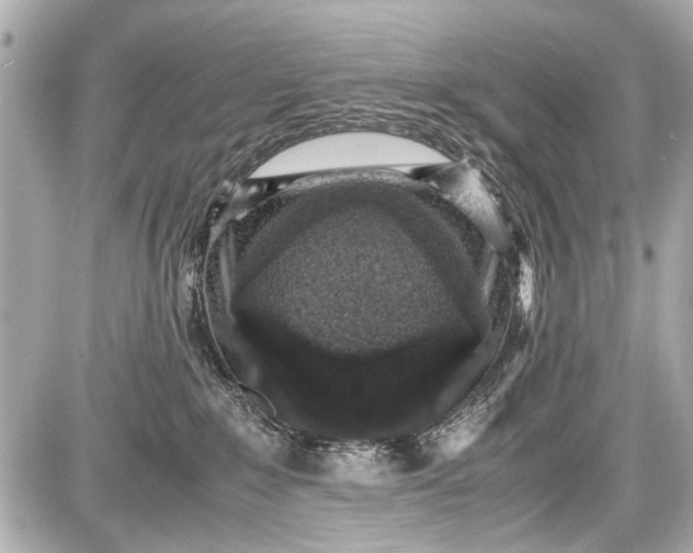 X0000087560235200705112155