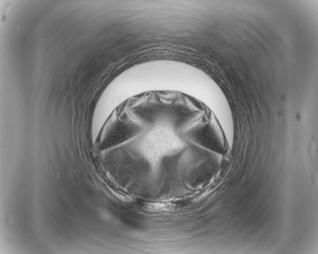 X0000087560239200705112155