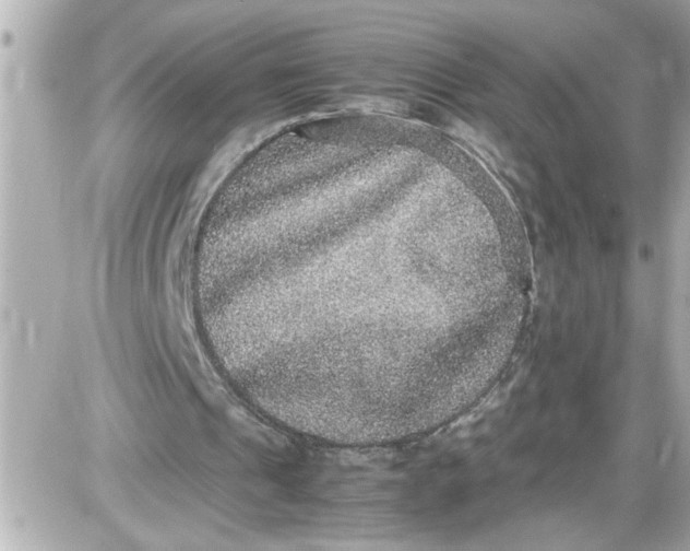 X0000087560241200705112154