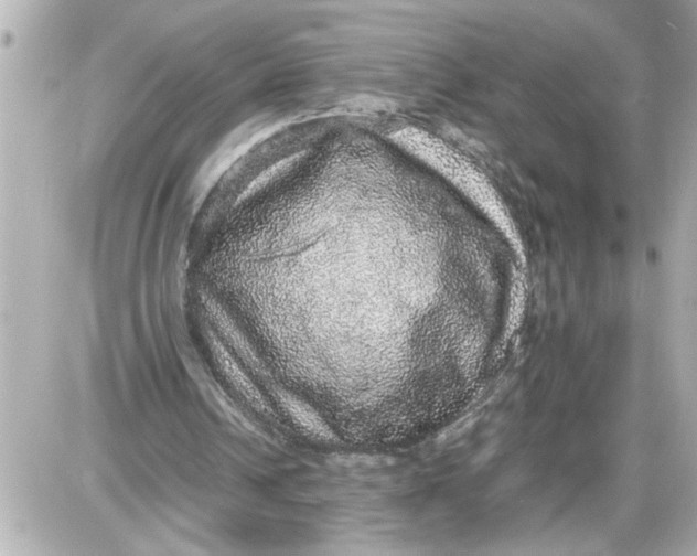 X0000087560242200705112154