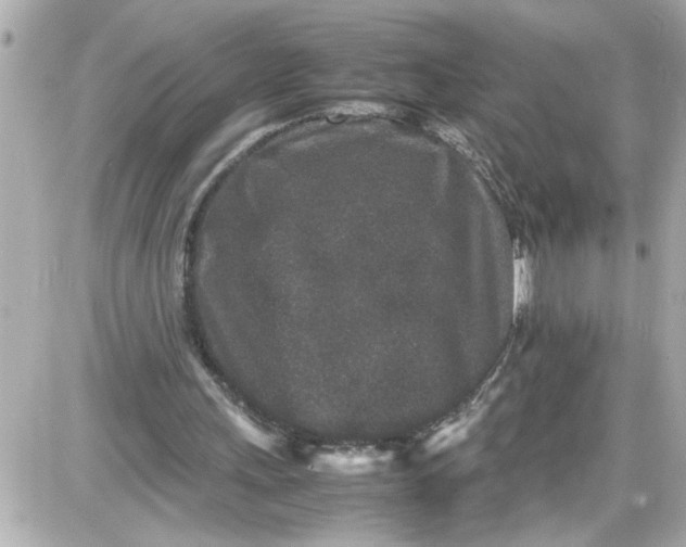 X0000087560243200705112154