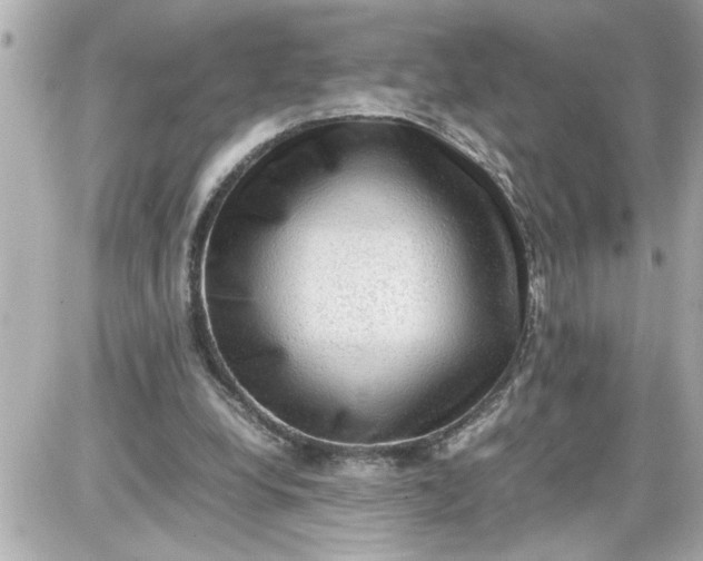 X0000087560248200705112154
