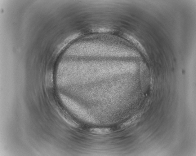 X0000087560251200705112154