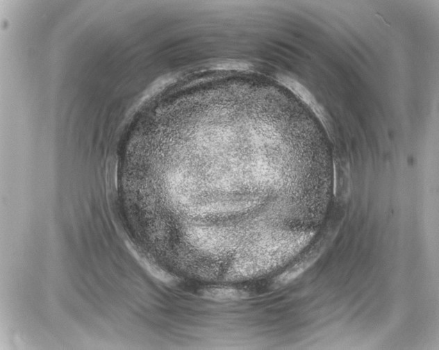 X0000087560253200705112154