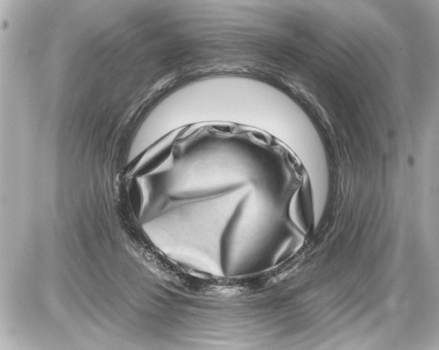 X0000087560260200705112154