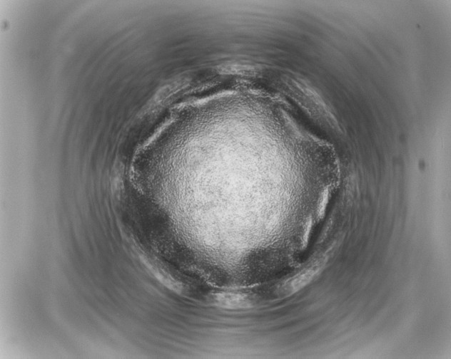 X0000087560265200705112155
