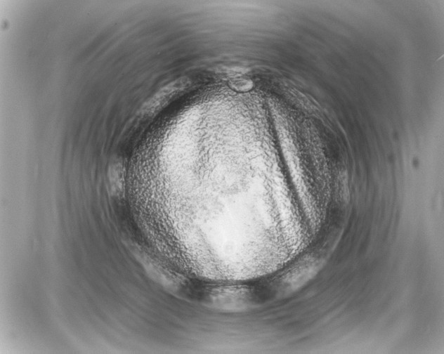 X0000087560274200705112155