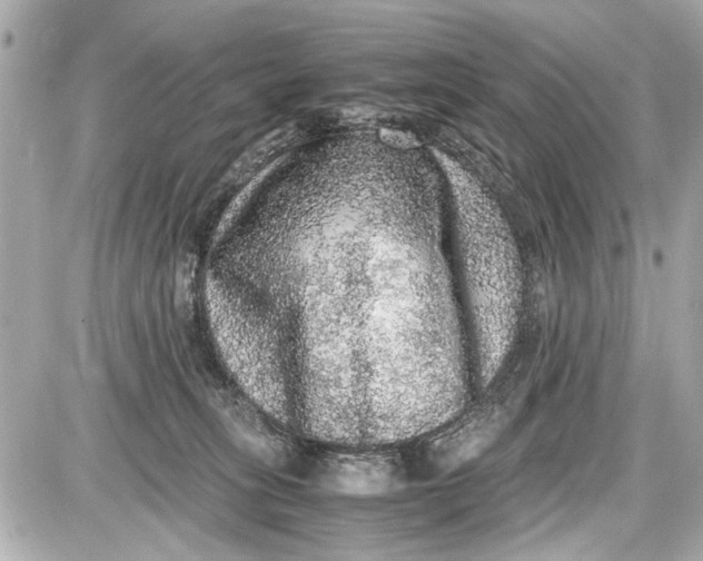 X0000087560275200705112155
