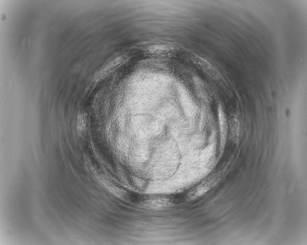 X0000087560278200705112155