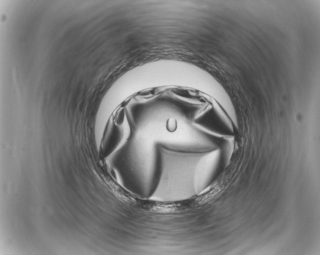 X0000087560280200705112155