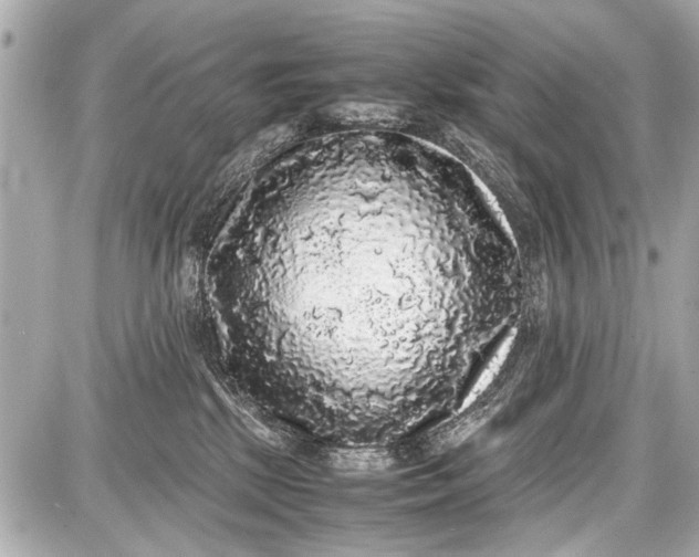 X0000087560281200705112155