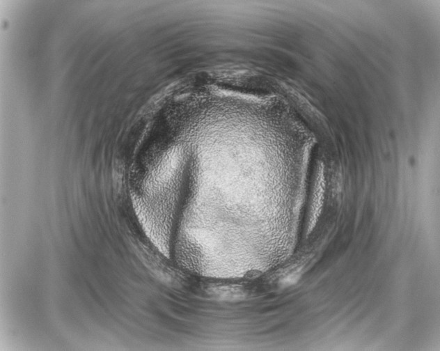 X0000087560283200705112155