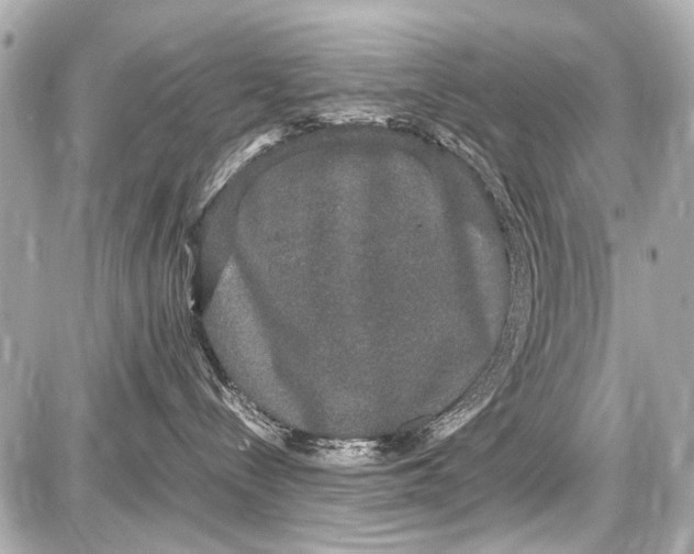 X0000087560288200705112155