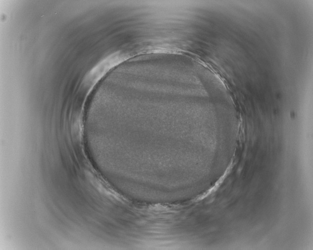X0000087560290200705112154