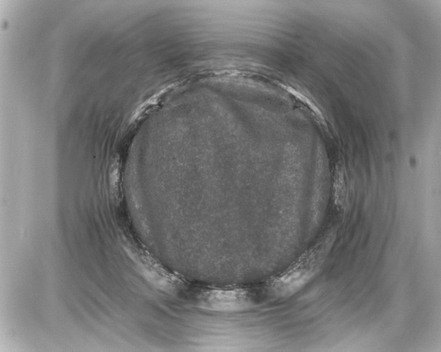 X0000087560314200705112154