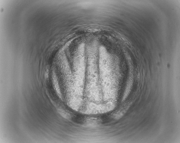 X0000087560315200705112154
