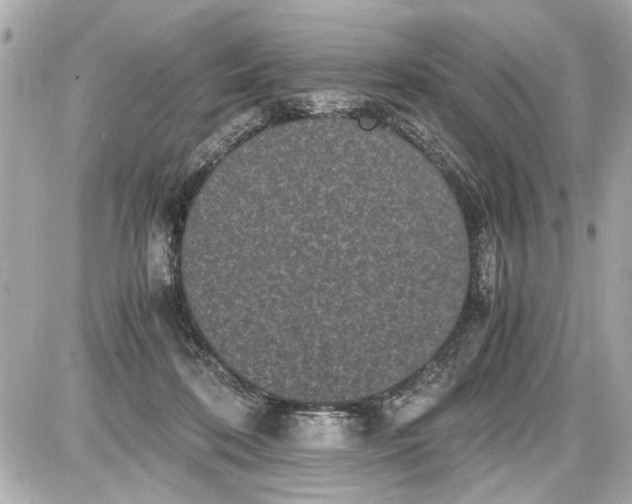 X0000087560316200705112154