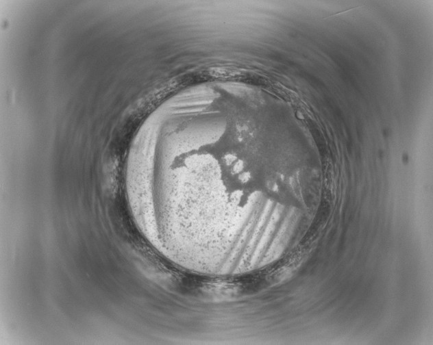 X0000087560319200705112154
