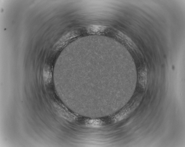 X0000087560324200705112154