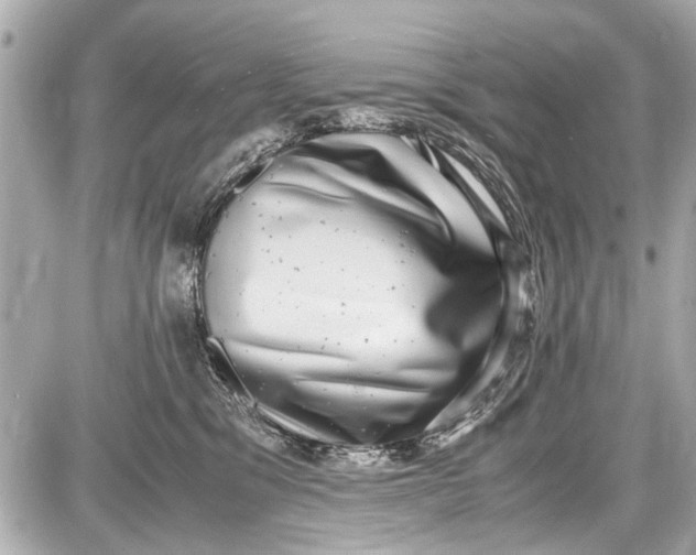 X0000087560329200705112153