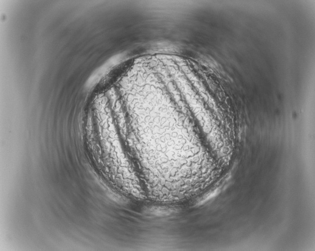 X0000087560341200705112153