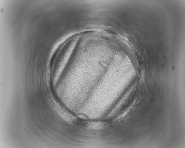 X0000087560342200705112153