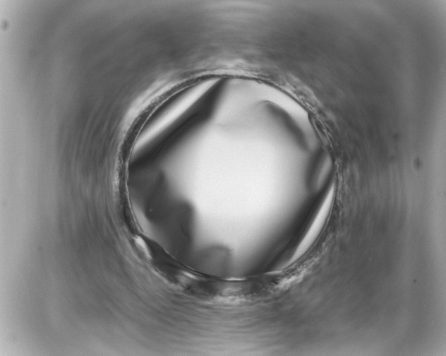 X0000087560344200705112153