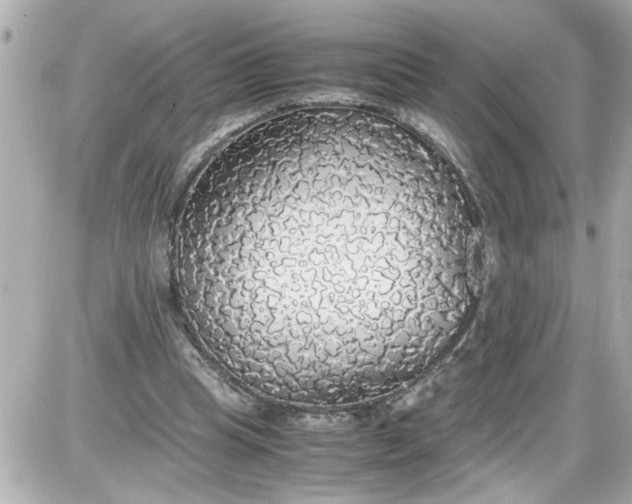 X0000087560345200705112153
