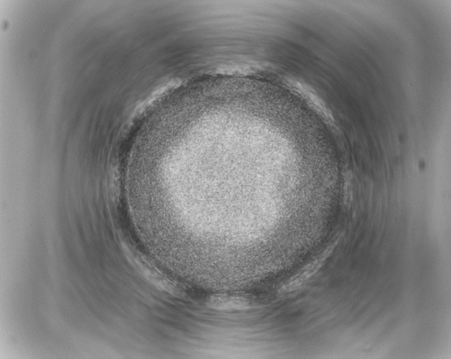 X0000087560354200705112153