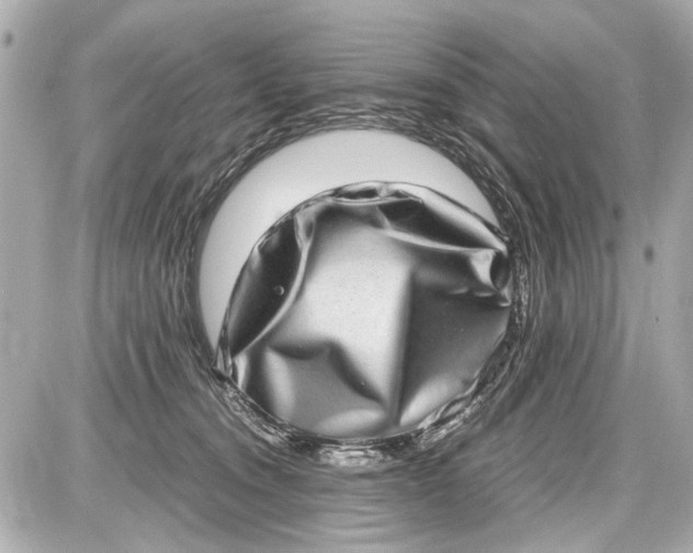 X0000087560372200705112153