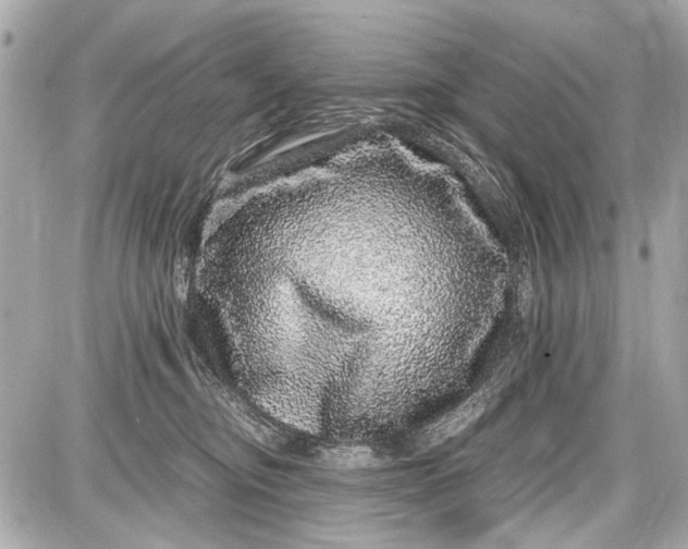 X0000087560374200705112153