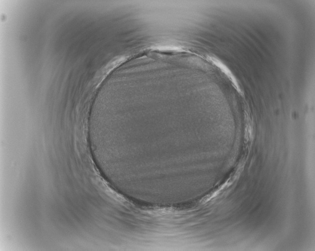 X0000087560385200705112153