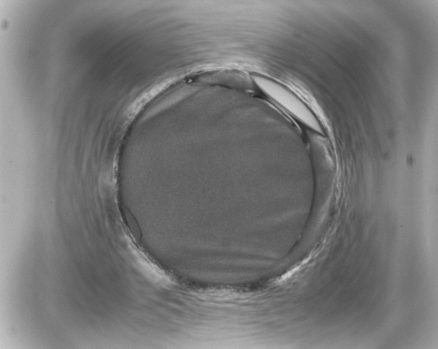 X0000087560389200705112152