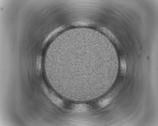 X0000087560396200705112152