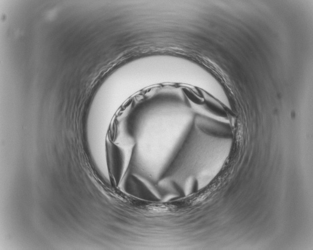 X0000087560405200705112152