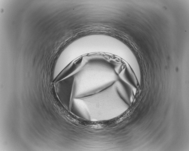 X0000087560411200705112152