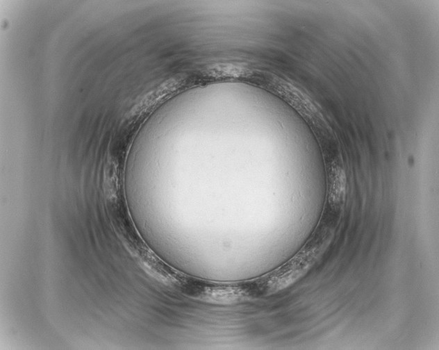 X0000087560414200705112152
