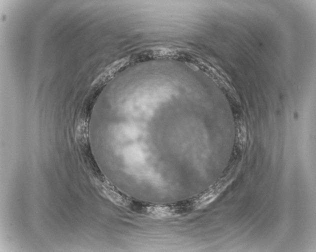 X0000087560419200705112152