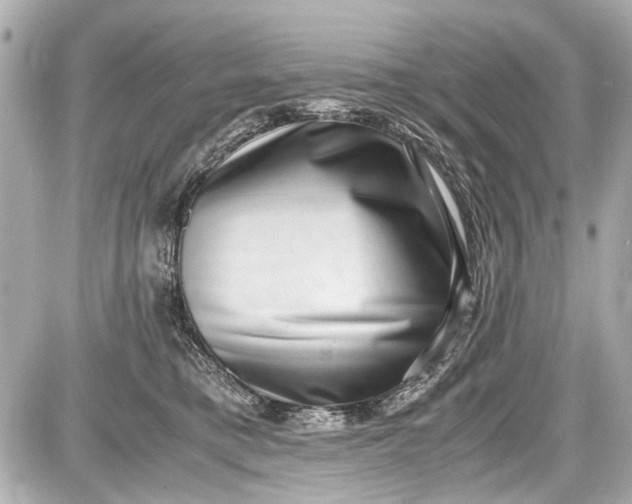 X0000087560421200705112152
