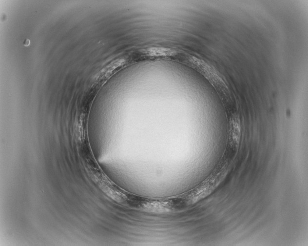 X0000087560422200705112152
